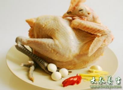 母鸡的家常做法 母鸡的做法大全