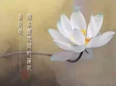 一日禅集锦经典 一日禅集锦(764)