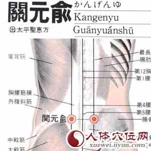 关元 艾穴位关元俞穴：治疗腰痛、腹胀、痢疾、膀胱炎、遗尿