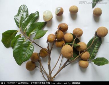 吃不完的西瓜怎么利用 龙眼吃不完怎么利用?