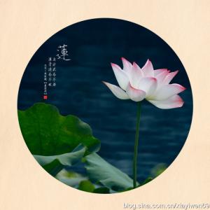 微笑面对生活 微笑面对生活  每日禅话 1116