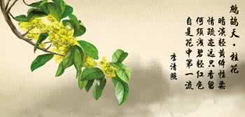 银子与桂子的武侠传奇 中秋桂子传深情〖极品音画〗