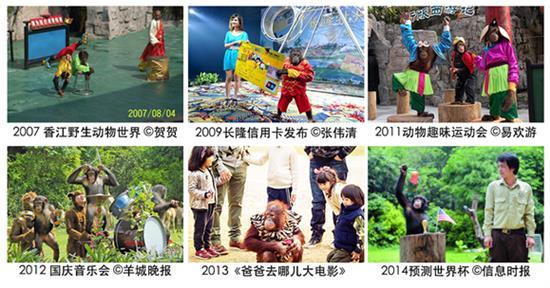 奇妙的朋友 朋友 《奇妙的朋友》，谁说要跟你们做朋友了？