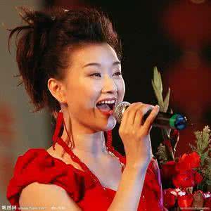 龙的传人原唱 龙的传人原唱 羞答答玫瑰静悄悄地开 台湾女歌手 孟庭苇歌曲精选18首 真人原唱【经典欣赏】