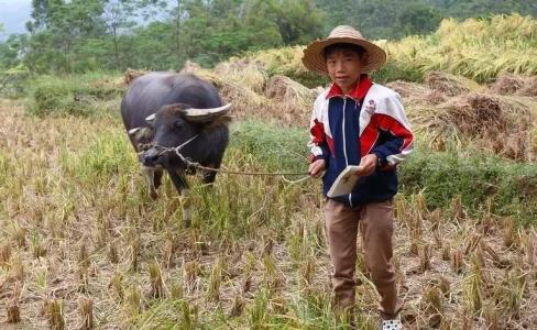 富婆装穷返农村完整版 一富婆赶时髦，把儿子送到农村去“吃苦”！结果.....