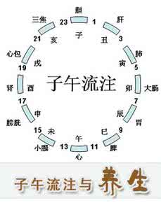 干部是党的宝贵财富 《子午流注》——老祖宗留下的宝贵财富