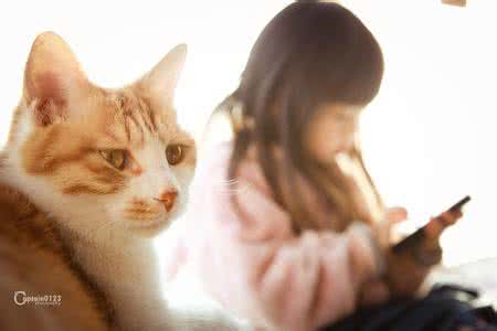 猫晚上不回家 这猫每天9点出门,晚上才回,背后的真相,竟是...