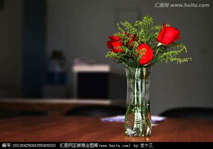 智慧背囊 【智慧背囊】对玫瑰的看法