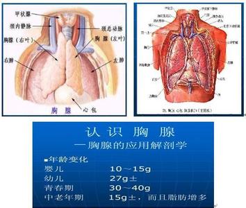 胸腺瘤重症肌无力 不传秘方: 恶性胸腺瘤术后重症四肢痿软一周见效鸡血藤汤