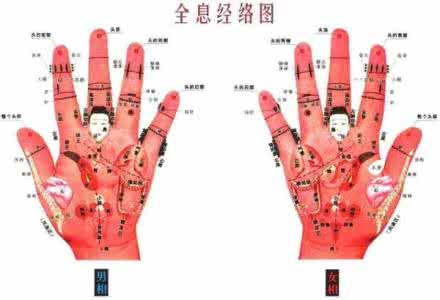 掌心八卦图 掌心八卦图 ：看疾病，看人生