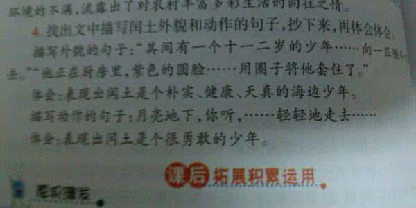 描写语言的句子大全 描写外貌的句子大全