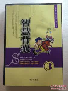 另一只靴子 【智慧背囊】另一只靴子