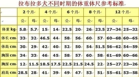 狗狗体重标准 狗狗标准体重表:你家狗狗超标了吗?