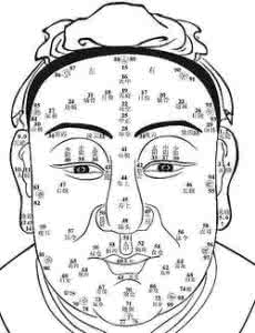 黄蜂腰 黄蜂腰 面相_黄蜂腰