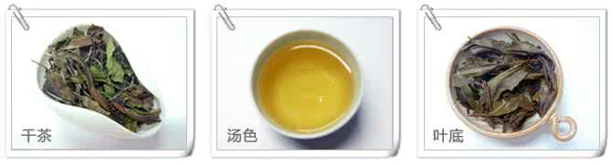 红装素裹 品茗随笔02:白牡丹----红装素裹