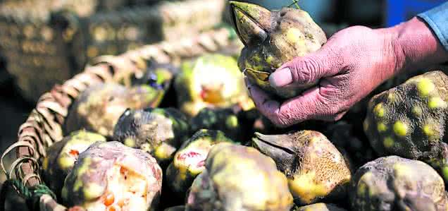 鸡头米的营养价值 古人食用鸡头米 鸡头米的食用价值