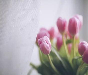 我懂得了珍惜时间 有一种懂得叫珍惜——送给能走进心灵的知音