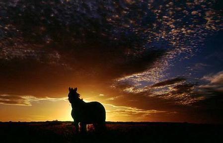 逆光摄影 逆光摄影四大艺术效果