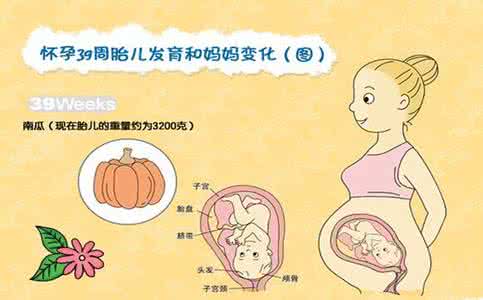 怀孕40天男孩什么反应 怀孕40天的反应