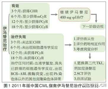 白血病的诊断与治疗 《白血病的诊断与治疗》