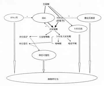 抑郁症发病机理 抑郁症病因及发病机理 太田痣病因及发病机理