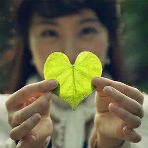 唯美文字 唯美文字：用眼睛去看的，那是别人的故事。用心去感知的，才是自己的人生。每一程都是风景，每一念都可以从容，直到岁月走过，你听，心海深处，花香正浓。