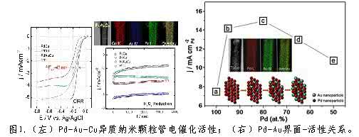 3O4复合材料制备及其对Cu2+吸附实验'>                        米根霉―Fe3O4复合材料制备及其对Cu2+吸附实验
