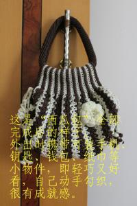 钩针编织毛线西瓜 【钩针】快乐编织--西瓜包/详解