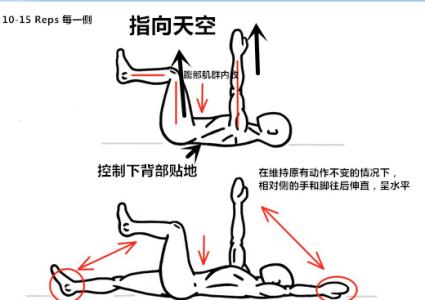 死虫动作 大学生【你真的知道“死虫动作”(Dead Bug) 吗?】