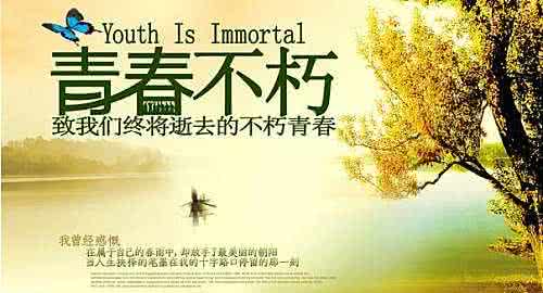 精彩美文 美文 精彩美文