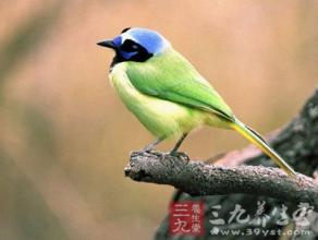 心理测试 心理测试 近三年内你会遭遇什么样的不顺