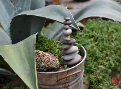 重庆哪里能捡到鹅卵石 鹅卵石多用处，捡到别扔了