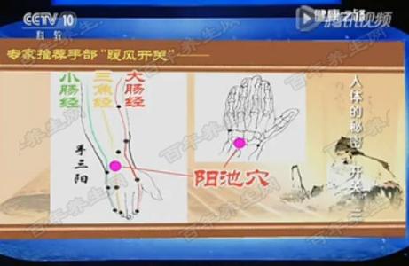 心肌梗死 20150729健康之路视频和笔记:刘文娴,董然,心肌梗死的治疗,支架