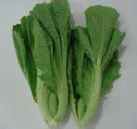 孕妇可以吃芥菜吗 月经期间可以吃芥菜吗 经期能吃芥菜吗