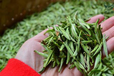吃着中药可以喝茶水吗 水里长的菜,吃着都是爱