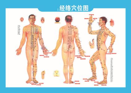经络就是血管吗 经络就是血管吗 让身体自己来治病：穴位就是药，经络就是药房！
