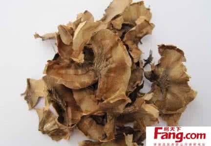 分心木的副作用很大 分心木的功效与作用分心木的副作用