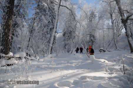黑龙江林海雪原 【黑龙江·林海】徒步穿越童话般的林海雪原