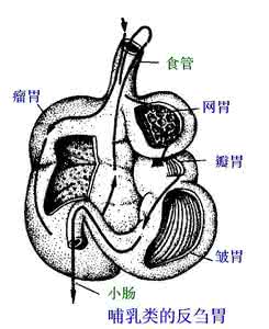 第十九章迷茫的等待 沦落的青春：第十九章
