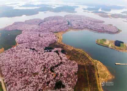红枫湖一日游 红枫湖一日游 144元/人 | 赏红枫,看花海,泡温泉,从化2日游!