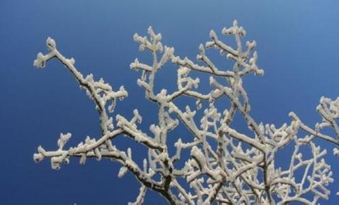 恋上一片雪 一片雪，一片情