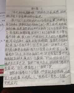 三百三十度作文450字