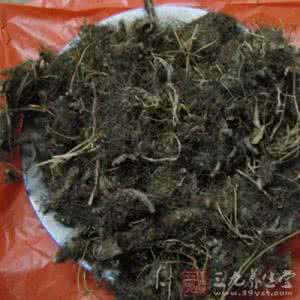 灭却心头火自凉 (27)转载 七剂中药 灭却近三十年的鼻炎