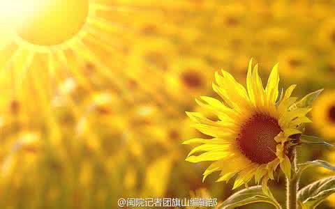 婚后好运不断的生肖女 乐观向上，好运不断