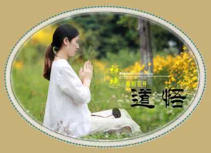 佛理人生禅悟 心种菩提，禅悟人生