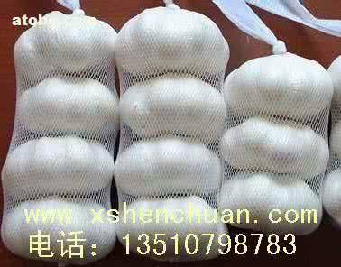 旧毛线编织坐垫方法56 一步步教你毛线编织大蒜的方法（织姐）