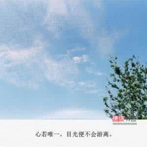 如果你对天空向往 唯美伤感句子:向往天空的,都是寂寞的