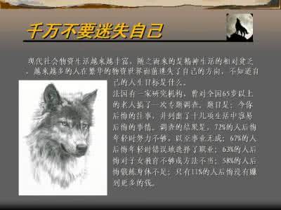 狼性文化给我们的启示 狼性心态能给我们多少启示？