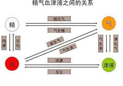 精气血津液神 中医中“精气血津液神”之间有何关系