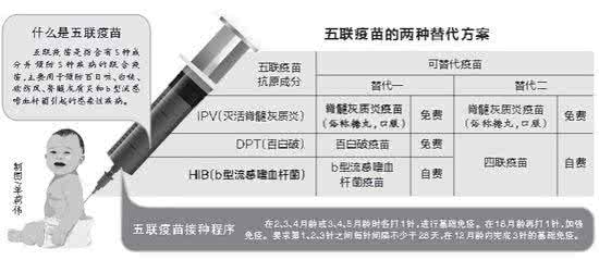 五联疫苗 五联疫苗全城告急 四种替代方案可选择